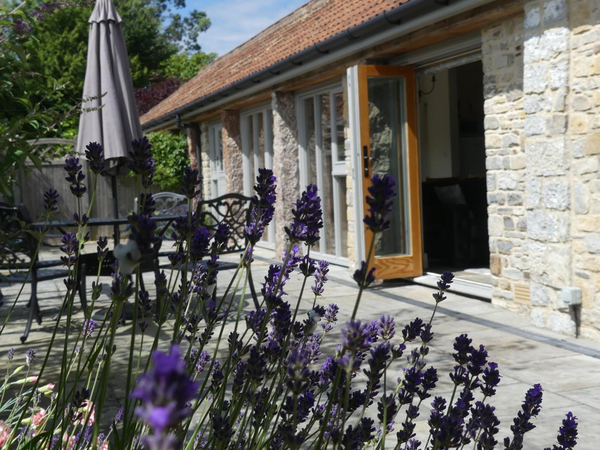 Pear Tree Cottages Wedmore 部屋 写真