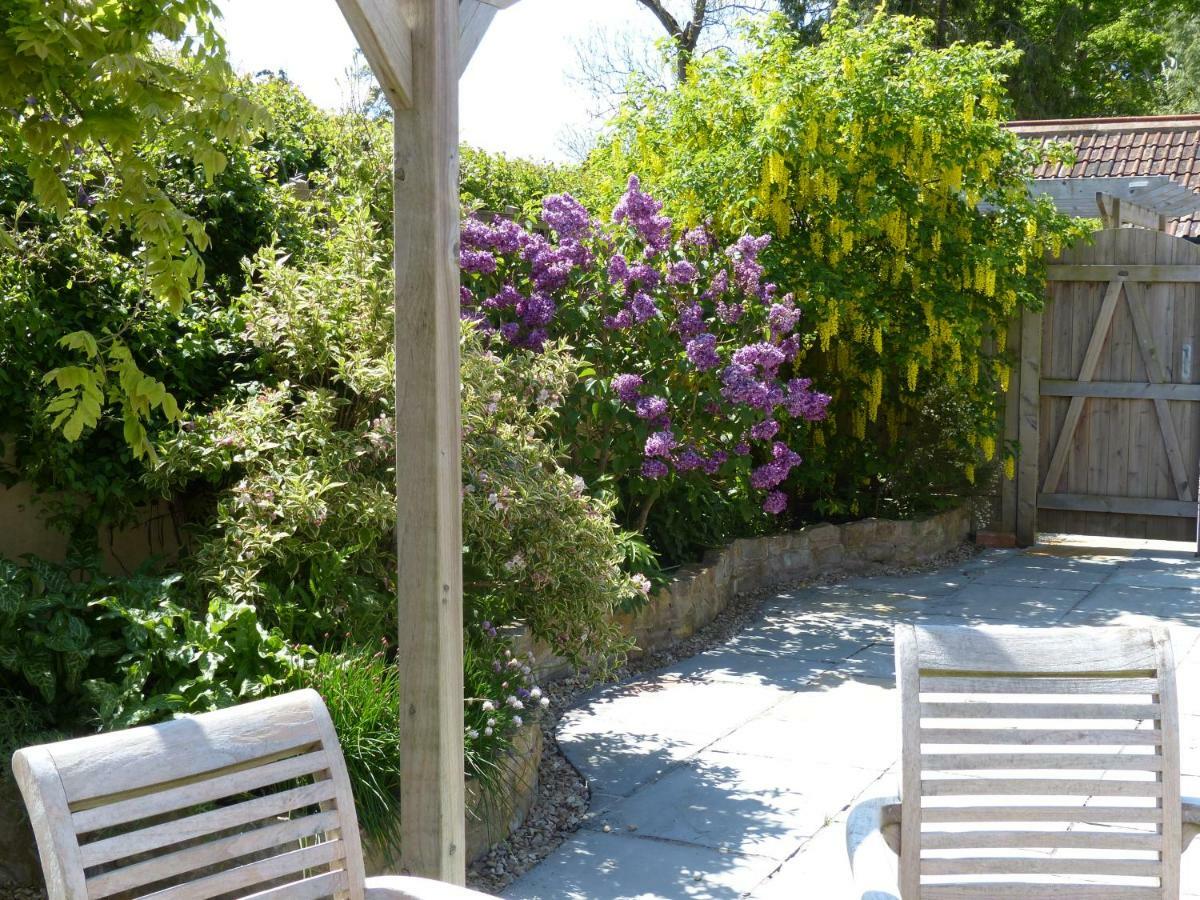 Pear Tree Cottages Wedmore エクステリア 写真